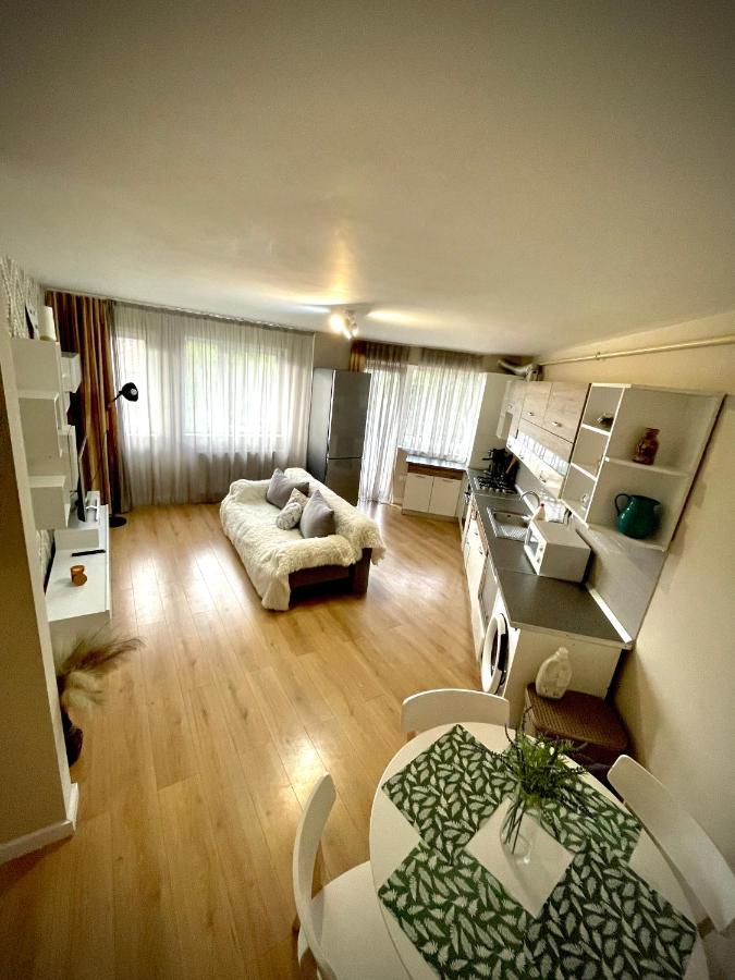 Mio Apartments Silver Cluj-Napoca Buitenkant foto